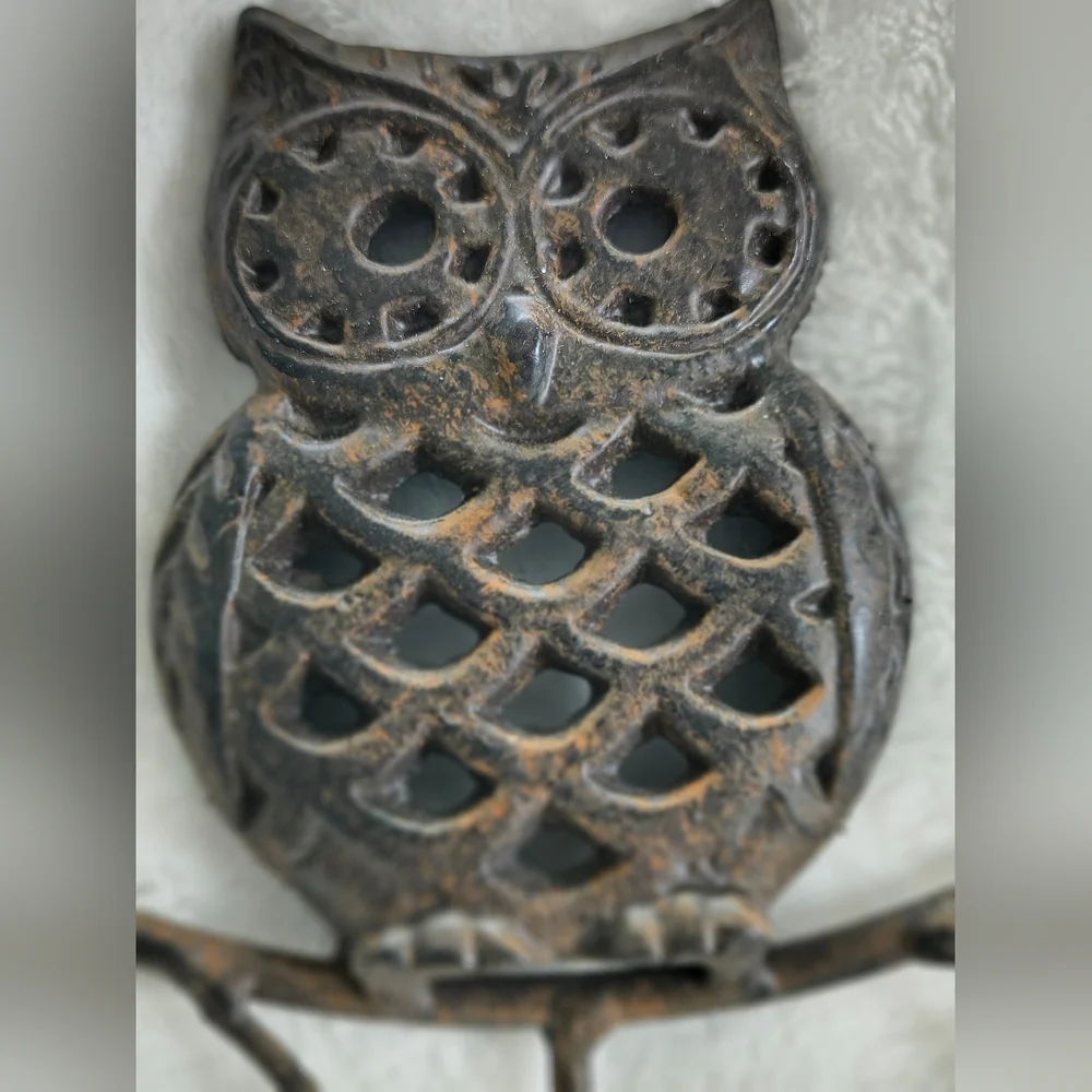 Cast Iron Owl 3 Hook Key Holder Wall Mountable Home Decor Dark Brown Boho Rustic